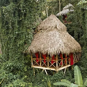 Resort Dominican Tree House Village, El Valle